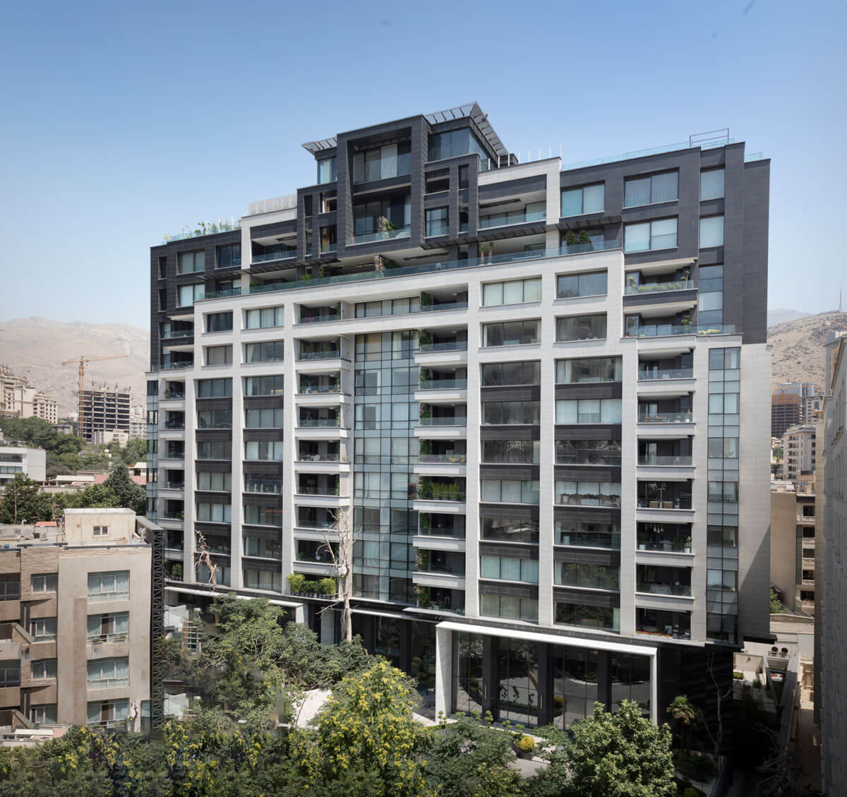 پارامیس نخجوان